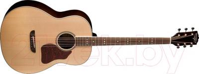 Электроакустическая гитара Washburn LSB768SEK - общий вид