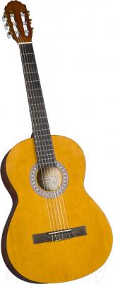 Акустическая гитара Catala CC-12 - общий вид