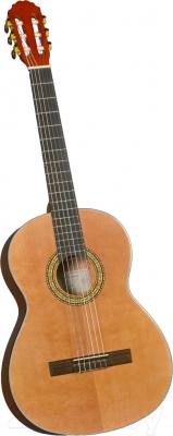 Акустическая гитара Catala CC-24 - общий вид