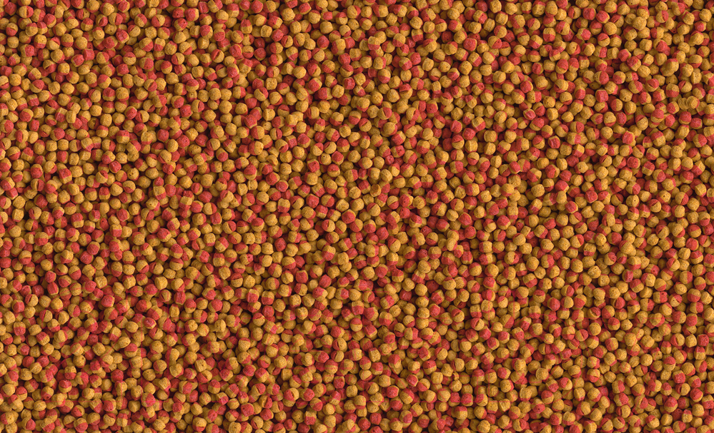 Корм для рыб Tetra Cichlid Colour Pellets (10л) — фото 2