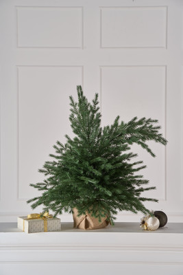 Ель искусственная Max Christmas Настольная Шуша