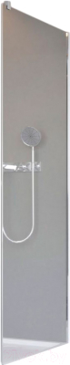 

Душевая стенка Radaway, Nes S1 100 / 10039100-01-01