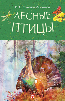Художественная книга АСТ Лесные птицы