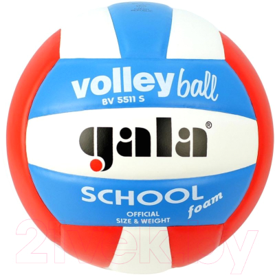 Мяч волейбольный Gala Sport School Foam Colou / BV5511S (размер 5, белый/голубой/красный)