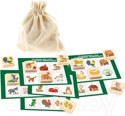 

Развивающая игра Анданте, Домашние животные / Д462а