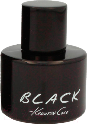 

Туалетная вода Kenneth Cole, Black