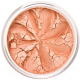 Румяна Lily Lolo Mineral Juicy Peach (3г) - 