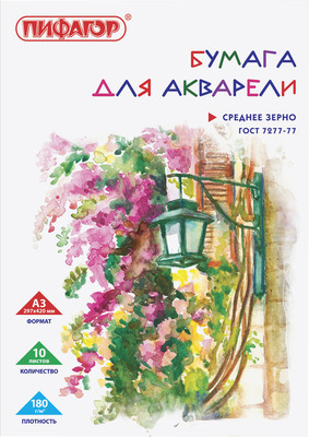 Набор бумаги для рисования Пифагор 126963 (10л) - 