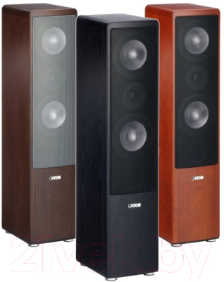 Акустическая система Canton Ergo 670 DC (Black Speakers)