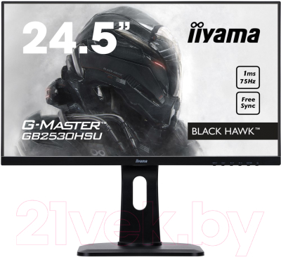 Монитор Iiyama G-Master GB2530HSU-B1 (черный)
