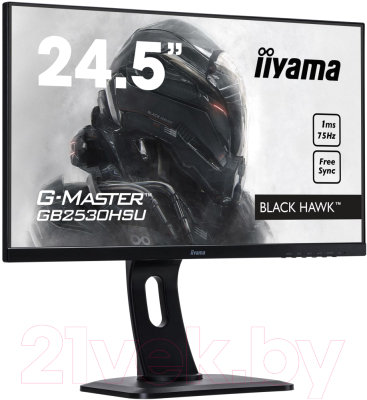 Монитор Iiyama G-Master GB2530HSU-B1 (черный)