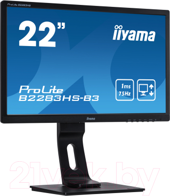 Монитор Iiyama ProLite B2283HS-B3 (черный)
