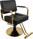 Кресло парикмахерское Stellar Limited Reshable Barber chair / DK-68164 (черный) -
