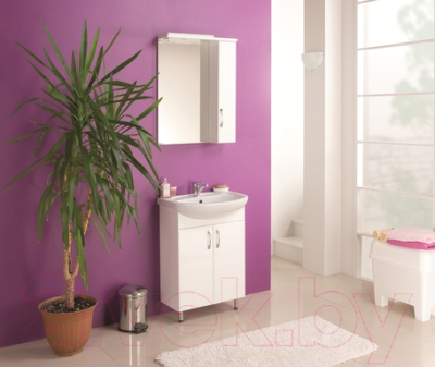 Шкаф с зеркалом для ванной Акватон Онда 60 (1A009802ON01R)
