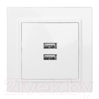 

Розетка EKF, Минск-2 СП USB 2.1А / ERR-2USB-100