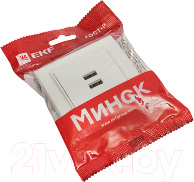 Розетка EKF Минск-2 СП USB 2.1А / ERR-2USB-100 (белый)