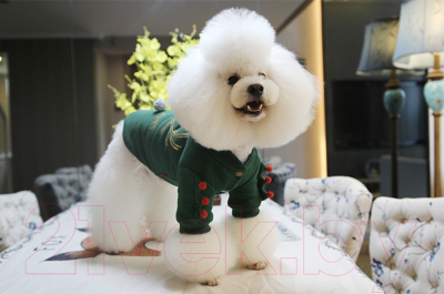 Куртка для животных Nicovaer Олененок / 01544 (XL, зеленый)