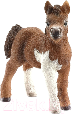 Фигурка коллекционная Schleich Шотландский пони Жеребенок / 13752