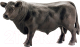 Миниатюра изображения товара Фигурка коллекционная Schleich Бык черный Ангус / 13766