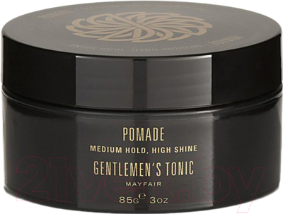 Паста для укладки волос Gentlemen's Tonic Medium Hold High Shine (85г)