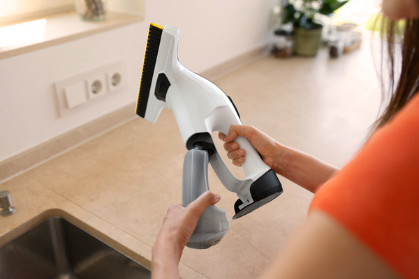 Купить Стеклоочиститель Karcher WV 8 Signature Line в Минске