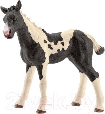 

Фигурка Schleich, Жеребенок Пинто / 13803