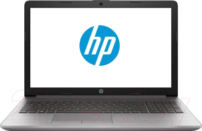 Ноутбук HP 250 G7 (6BP04EA)