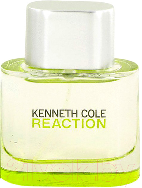 Туалетная вода Kenneth Cole Reaction