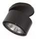 Точечный светильник Lightstar Forte 213847 - 