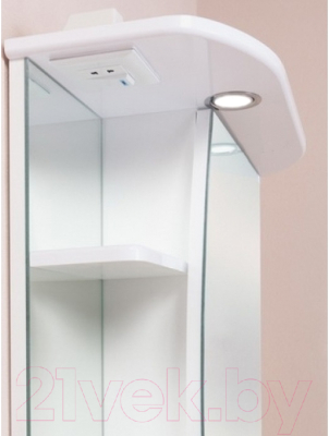 Шкаф с зеркалом для ванной Onika Луна 55.01 R (205521)