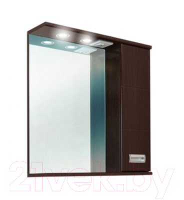 Шкаф с зеркалом для ванной Onika Балтика 65.02 R (206504)