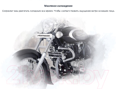 Мотоцикл Bajaj Avenger 220 Cruise DTS-i (черный глянцевый)