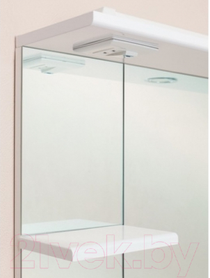 Шкаф с зеркалом для ванной Onika Эльбрус 80.02 R (208022)