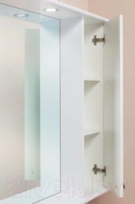 Шкаф с зеркалом для ванной Onika Эльбрус 100.02 R (210004)