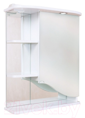 Шкаф с зеркалом для ванной Onika Виола 60.01 R (206004)