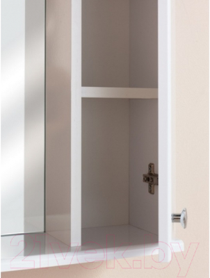 Шкаф с зеркалом для ванной Onika Ника 60.01 R (206016)