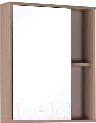 Шкаф с зеркалом для ванной Onika Дельта 60.00 У (206060)
