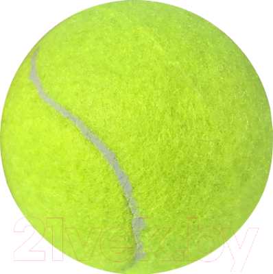 Набор теннисных мячей Head Penn Coach Red Label / 524306