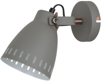 Спот Camelion WML-428-1 C08 / 13058 (серый)
