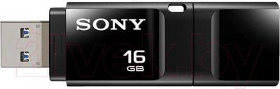 Usb flash накопитель Sony MicroVault Entry 16GB (USM16XB) - общий вид