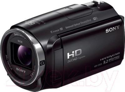 Видеокамера Sony HDR-CX620B - общий вид