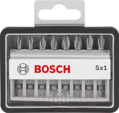 Набор бит Bosch Robust Line 2.607.002.556 - общий вид