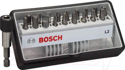 Набор бит Bosch Robust Line 2.607.002.568 - общий вид