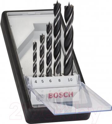 Набор сверл Bosch Robust Line 2.607.010.527 - общий вид