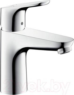 Смеситель Hansgrohe Focus 31517000 - общий вид