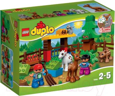 Конструктор Lego Duplo Лесные животные 10582 - упаковка