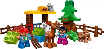 Конструктор Lego Duplo Лесные животные 10582 - общий вид