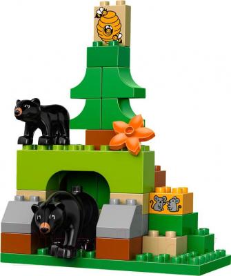 Конструктор Lego Duplo Лесной заповедник 10584 - общий вид
