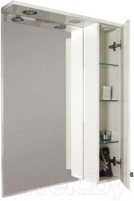Шкаф с зеркалом для ванной Акватон Лиана 60 (1A162702LL01R) - общий вид с открытой дверцей