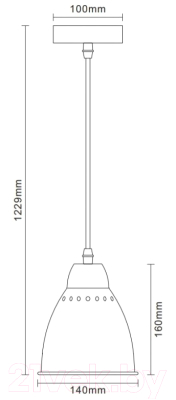 Потолочный светильник Camelion PL-430S-1 C01 / 13083 (белый)